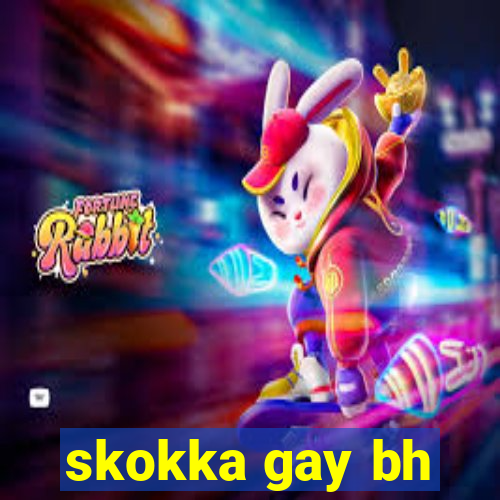 skokka gay bh