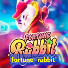 fortune rabbit plataforma nova