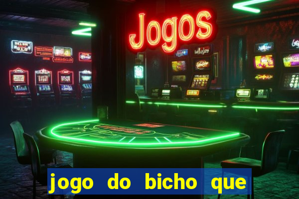 jogo do bicho que paga no pix