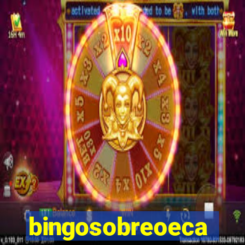 bingosobreoeca