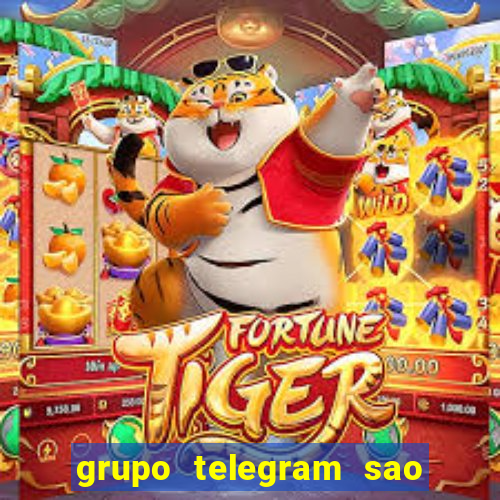 grupo telegram sao jose do rio preto